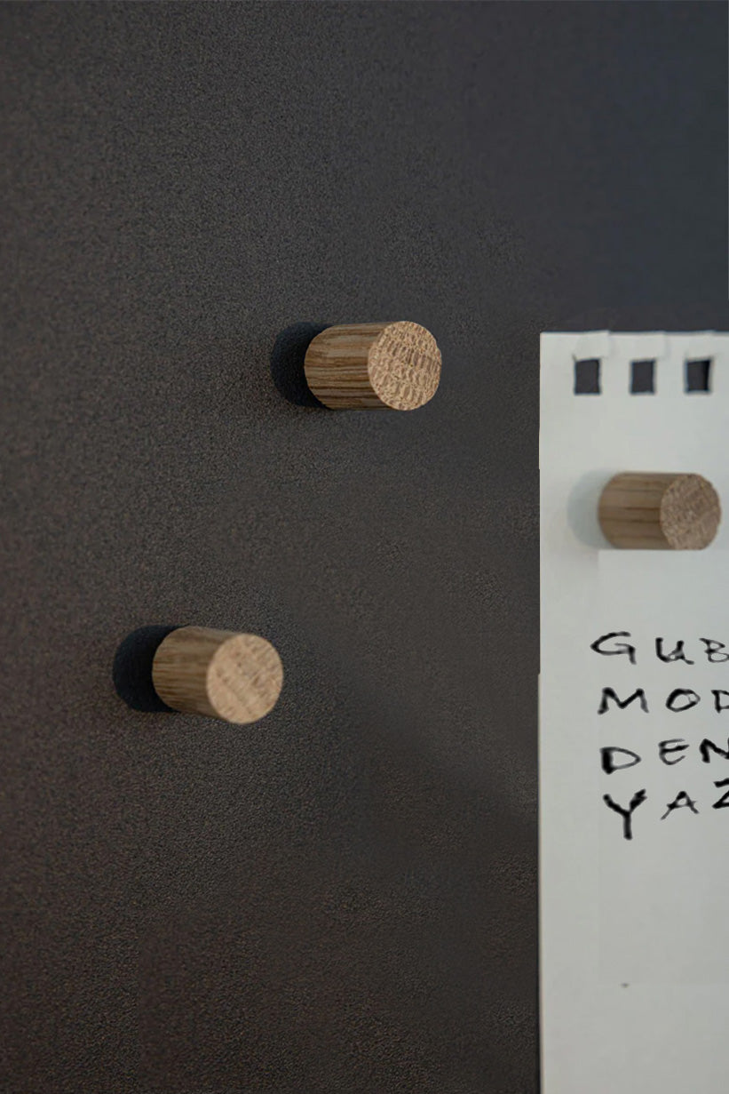 MANYETİK ÇELİK NOT PANOSU